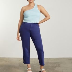 NWT Everlane The Curvy Way-High Jean